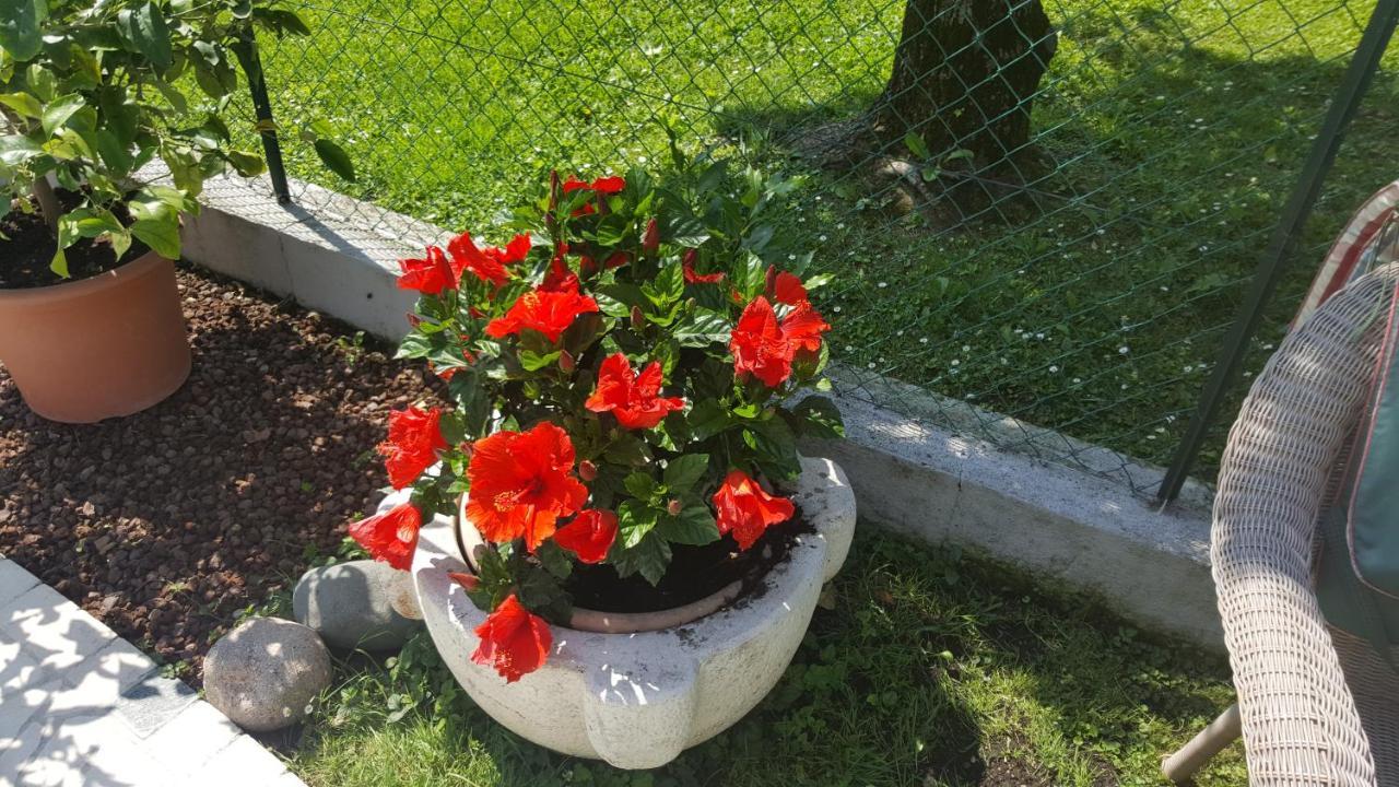 B&B Casa Gaia - سيرمِيوني المظهر الخارجي الصورة